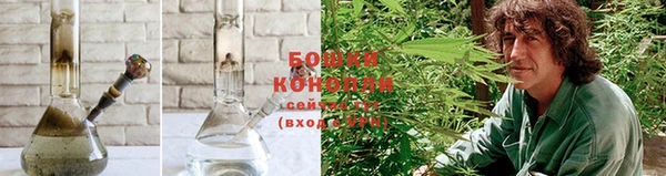 наркотики Белокуриха