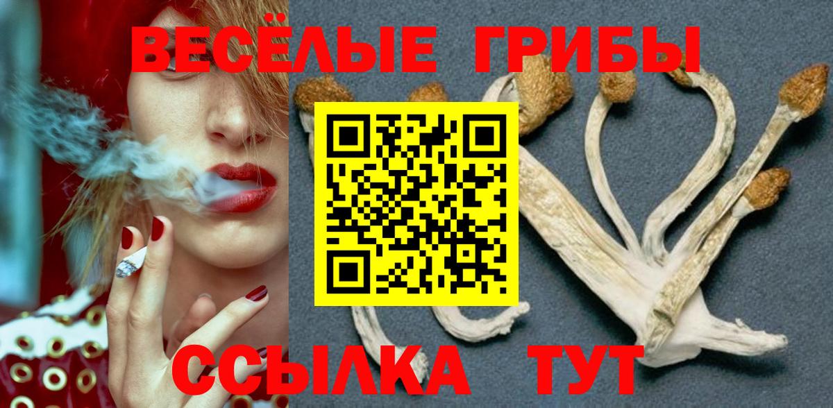 Псилоцибиновые грибы мухоморы  Вход с VPN  Дагестанские Огни  Псилоцибиновые грибы ЛСД 