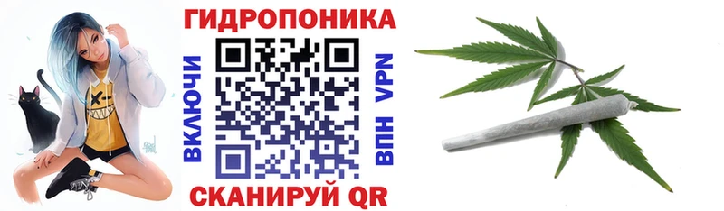 МАРИХУАНА OG Kush  ссылка на мегу ССЫЛКА  Дагестанские Огни 